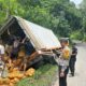 Kecelakaan Beruntun Melibatkan 4 Kendaraan di Jalur Wisata Pantai Mutun