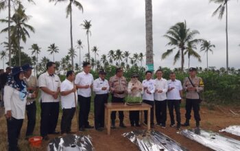 Polres Pringsewu dan Dinas Pertanian Dorong Ketahanan Pangan Lewat Bantuan Bibit Cabai