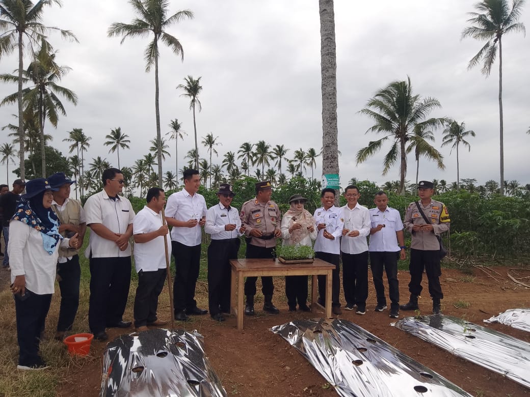 Polres Pringsewu dan Dinas Pertanian Dorong Ketahanan Pangan Lewat Bantuan Bibit Cabai