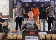 Polres Pringsewu Berhasil Menangkap Pengedar 76 kg Ganja dan Senjata Api ilegal.