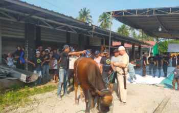 Perdana, Masjid Asmaul Husna Desa Bernung Potong 10 Hewan Kurban