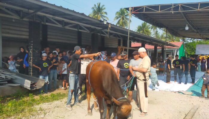 Perdana, Masjid Asmaul Husna Desa Bernung Potong 10 Hewan Kurban