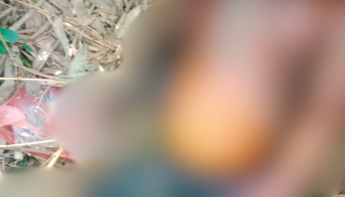 Mayat Tanpa Identitas Ditemukan di Areal Perkebunan Karet PTPN Way Berulu, Polisi Lakukan Penyelidikan