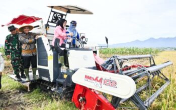 Bantuan Alsintan dan Produksi Pupuk Organik Cair Dorong Produktifitas Pertanian Pesawaran 