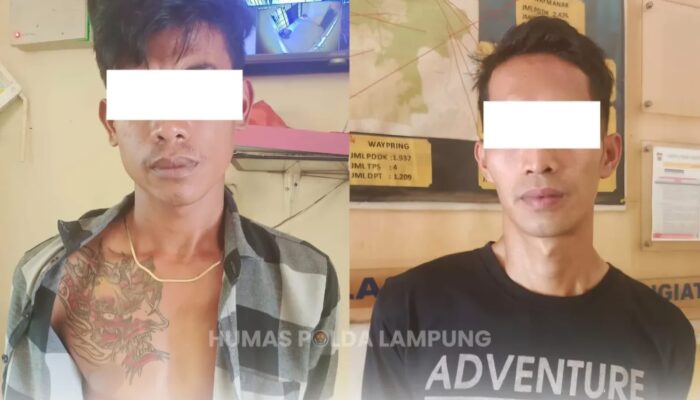 Insiden Pembunuhan Pasutri di Tanggamus, Polisi Berhasil Ringkus 2 Pelaku