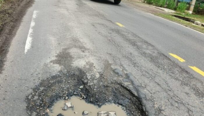 Jalinbar Sumatera “Rusak” Kembali Makan Korban, Pengendara Motor Terjatuh di Tanggamus