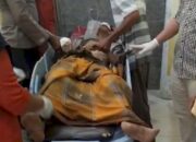 Kepala Desa Braja Asri Tewas Terinjak Gajah Liar, Warga Desak Penanganan Serius Konflik Satwa