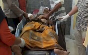 Kepala Desa Braja Asri Tewas Terinjak Gajah Liar, Warga Desak Penanganan Serius Konflik Satwa