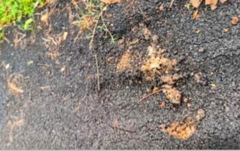 Warga Pandansari Keluhkan Proyek Jalan PUPR Pringsewu Yang Mengalami Kerusakan dalam Waktu Singkat.