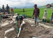 Hari Ketiga TMMD ke-127: TNI dan Masyarakat Gotong Royong Bangun Jalan dan Talud