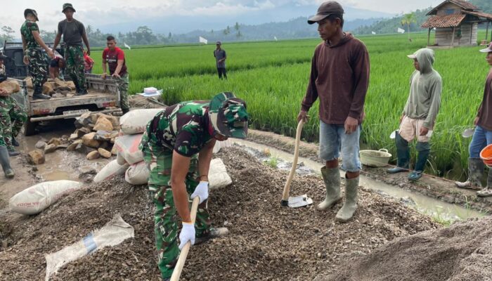 Hari Ketiga TMMD ke-127: TNI dan Masyarakat Gotong Royong Bangun Jalan dan Talud