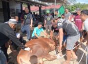 Sembelih 19 Ekor Hewan Kurban, Masjid Asmaul Husna Salurkan 326 Kantong Daging ke Warga