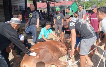Sembelih 19 Ekor Hewan Kurban, Masjid Asmaul Husna Salurkan 326 Kantong Daging ke Warga
