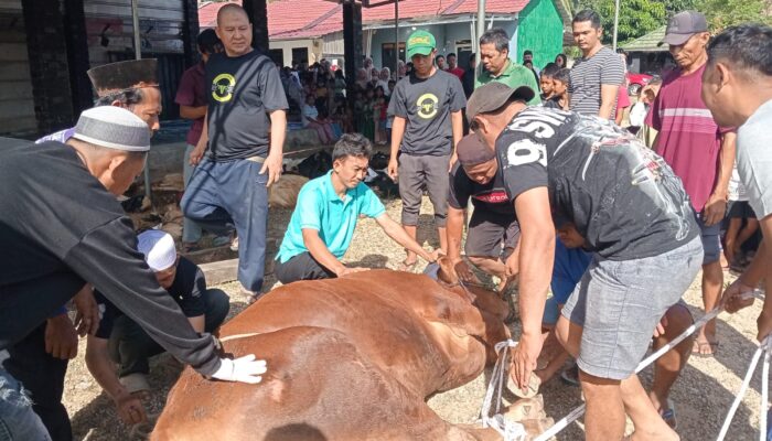 Sembelih 19 Ekor Hewan Kurban, Masjid Asmaul Husna Salurkan 326 Kantong Daging ke Warga