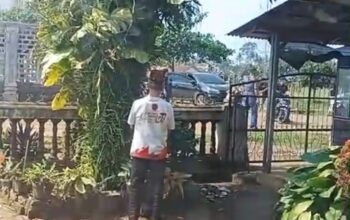Viral Diduga Video Penggerebekan Terduga Penembak Anggota Polda Lampung di Jabung, Polisi Lepaskan Tembakan ke Udara