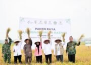 Dari 60 Hektare Sawah, Lumbung Pangan BAZNAS Pesawaran Berpotensi Hasilkan Rp1,3 Miliar
